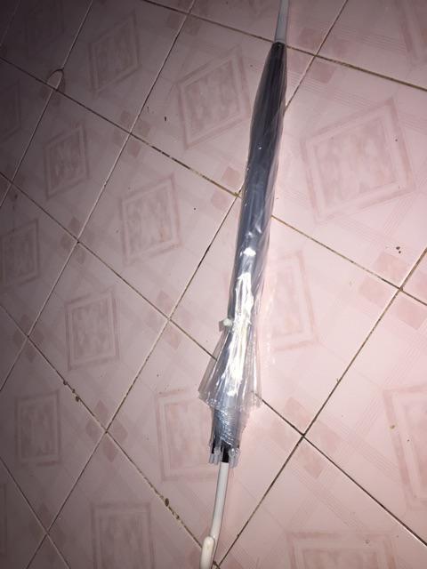 Payung Transparan Korea Japanese Style New Foto Prewedding