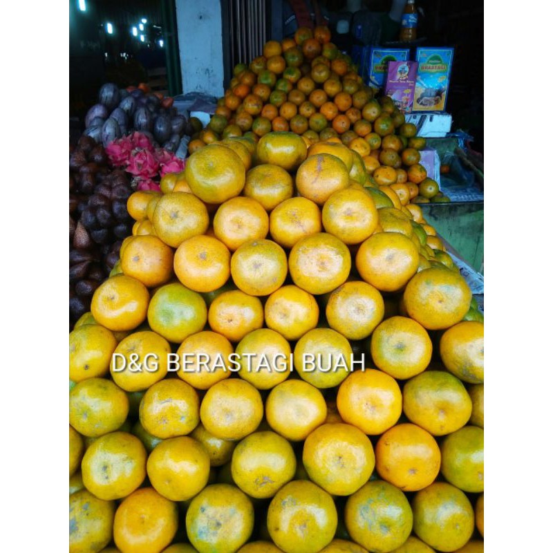 

Buah jeruk madu Berastagi || jumbo super||1000gr