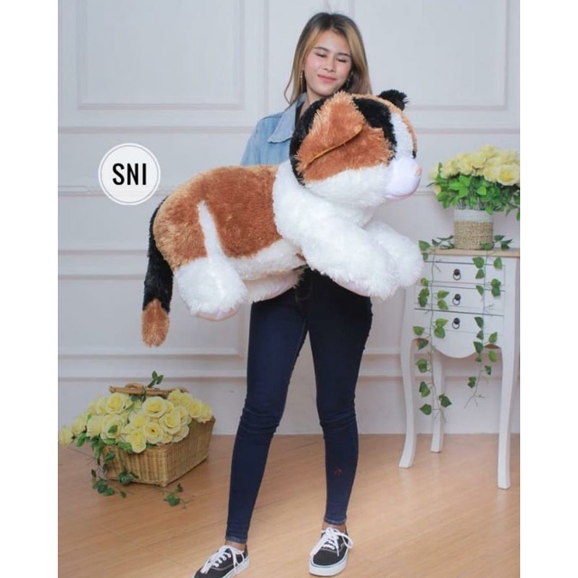 Boneka kucing jumbo bulu import