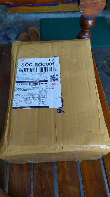 Kaktus Sukulen Paket 50 Pohon Bonus 50 Pot