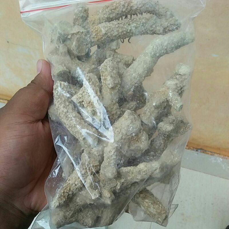 Batu karang jahe batu hiasan aquarium batu karang hiasan aquarium soliter