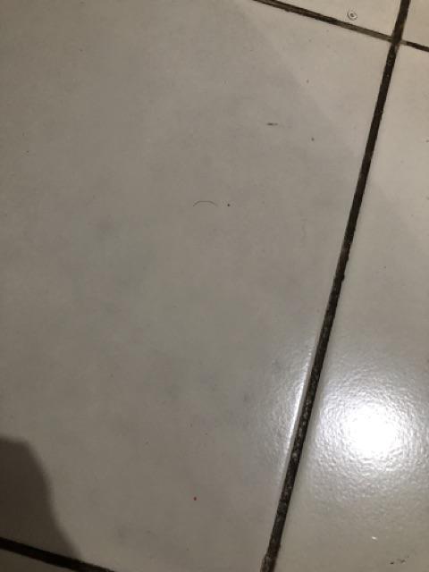 Tissue Paseo 250lbr 1pak Promo Jkt