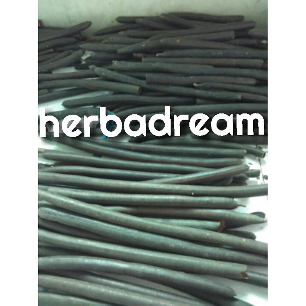 

ASAM TRENGGULI KERING 100gr - Cassia fistula - MURNI - JSR - REM