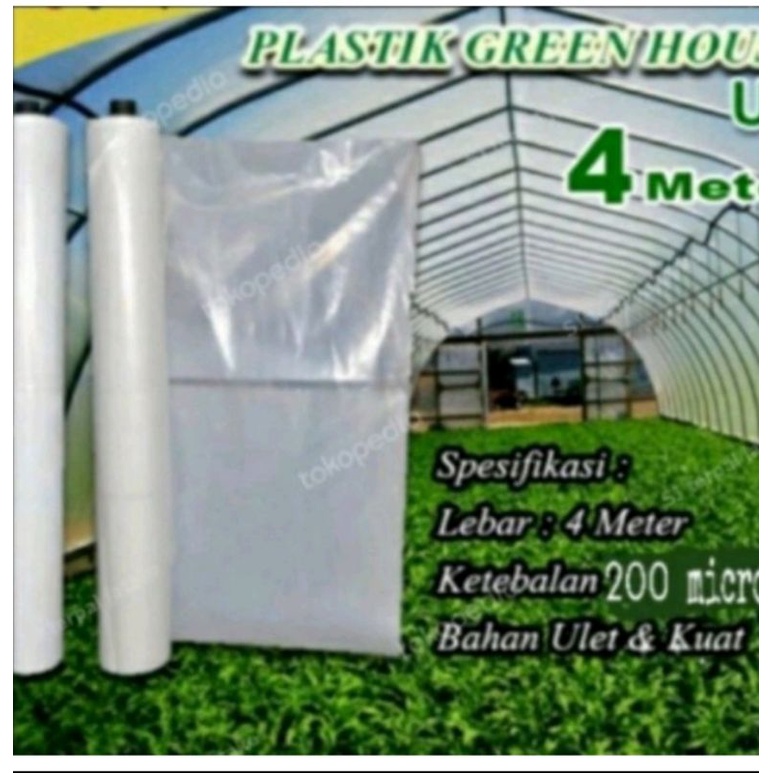 plastik UV lebar 4m x panjang 14m 200micron