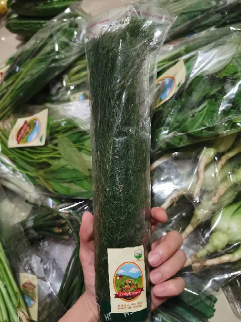 

Daun Dill Organik || 100gram || Dill Organic