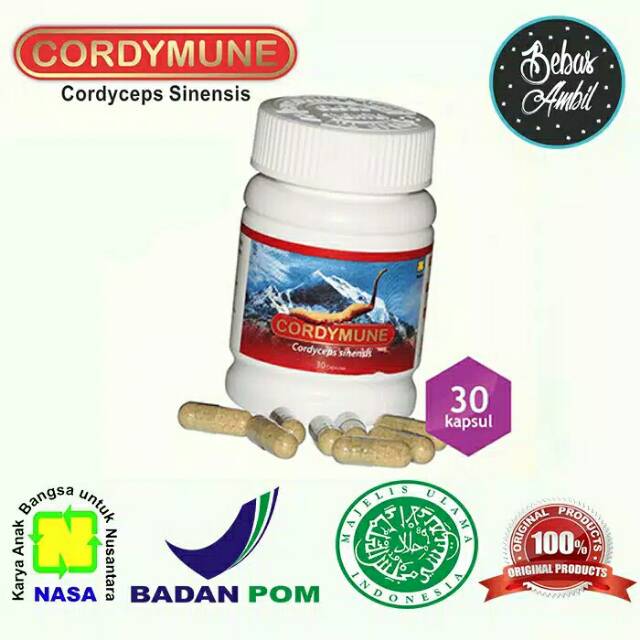 CORDYMUNE NASA / PRODUK KESEHATAN NASA / SUPLEMEN KESEHATAN