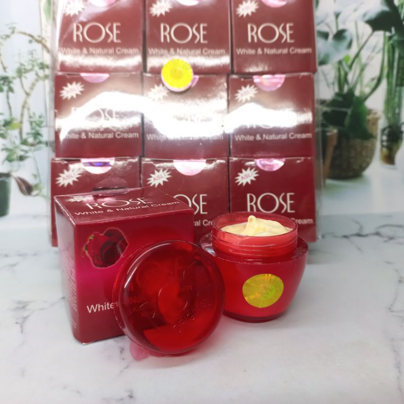 Lusinan Cream Rose Holo M 12 Pcs