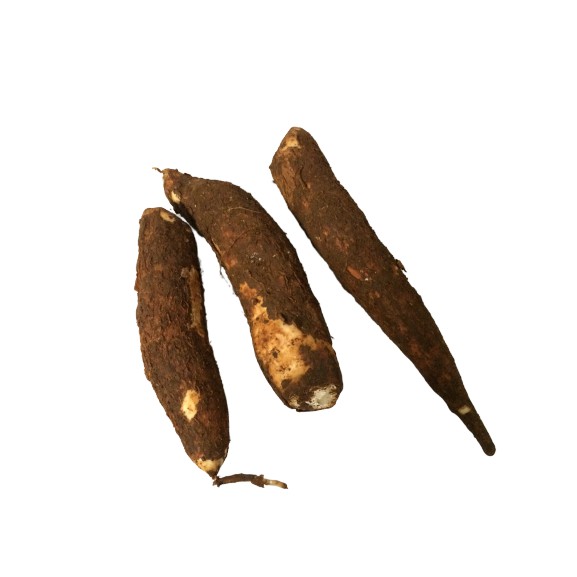 

SINGKONG SEGAR 1KG