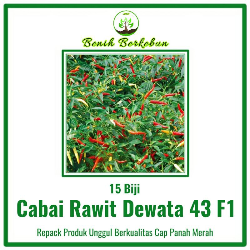 15 Benih Cabai Rawit Dewata 43 F1 (Cap Panah Merah)
