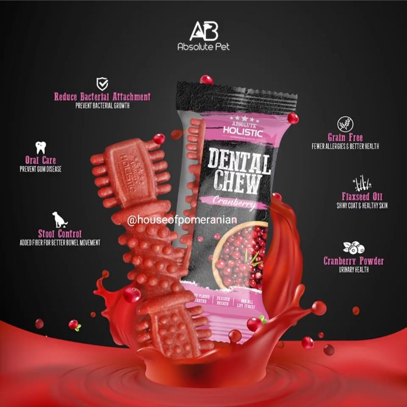 dental chew holistic dog bone 4&quot; absolute treat 25gr dog snack cemilan makanan pembersih gigi anjing