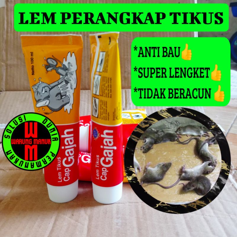 Lem tikus PERANGKAP TIKUS RUMAH TIKUS LIAR TIKUS GOT LEM CAP GAJAH LEM PERANGKAP MURAH MUDAH