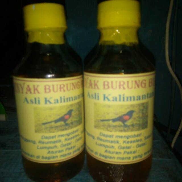 Minyak Burung Bubut Kalimantan Shopee Indonesia