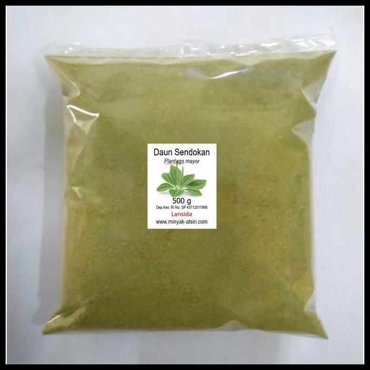 

Bubuk Daun Sendok 500 G Serbuk Sendokan Ki Urat Plantago Mayor Sembung