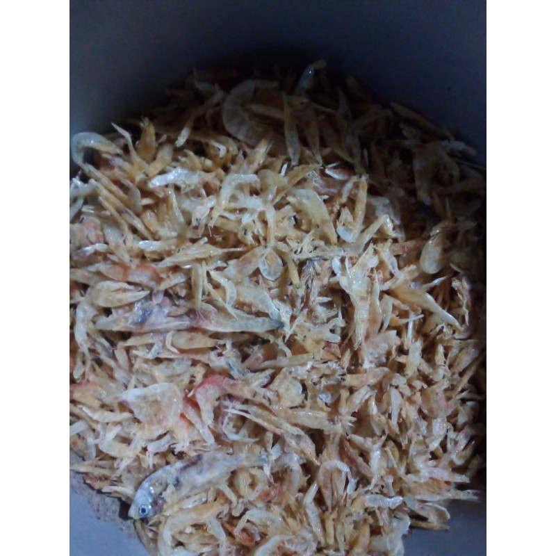 

Ikan Dawu