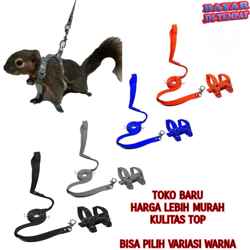TALI TUNTUN  TUPAI TALI SUGAR GLIDER HARNESS TUPAI TALI TUPAI MODEL H UNTUK SEMUA UKURAN BADAN PANJANG 1,5 METER