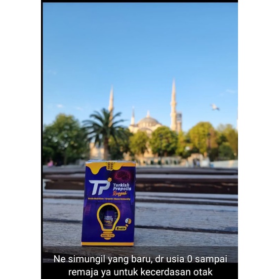 TURKISH PROPOLIS RUQYAH BRAIN untuk Kecerdasan(COD)