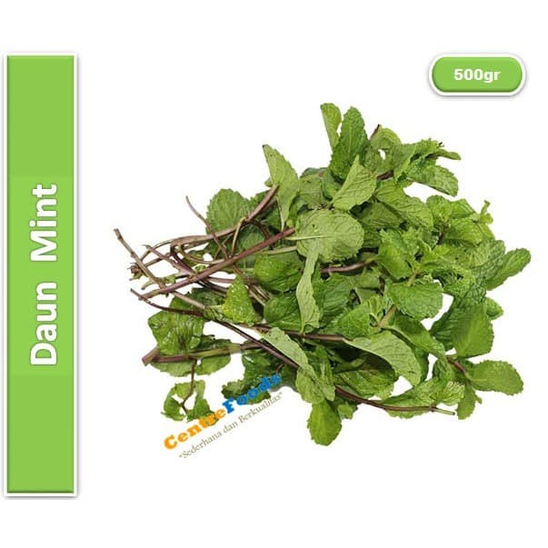 

Daun Mint Fresh - Papermin Fresh | 500gr [ Harga Per 0,5 Kg ]
