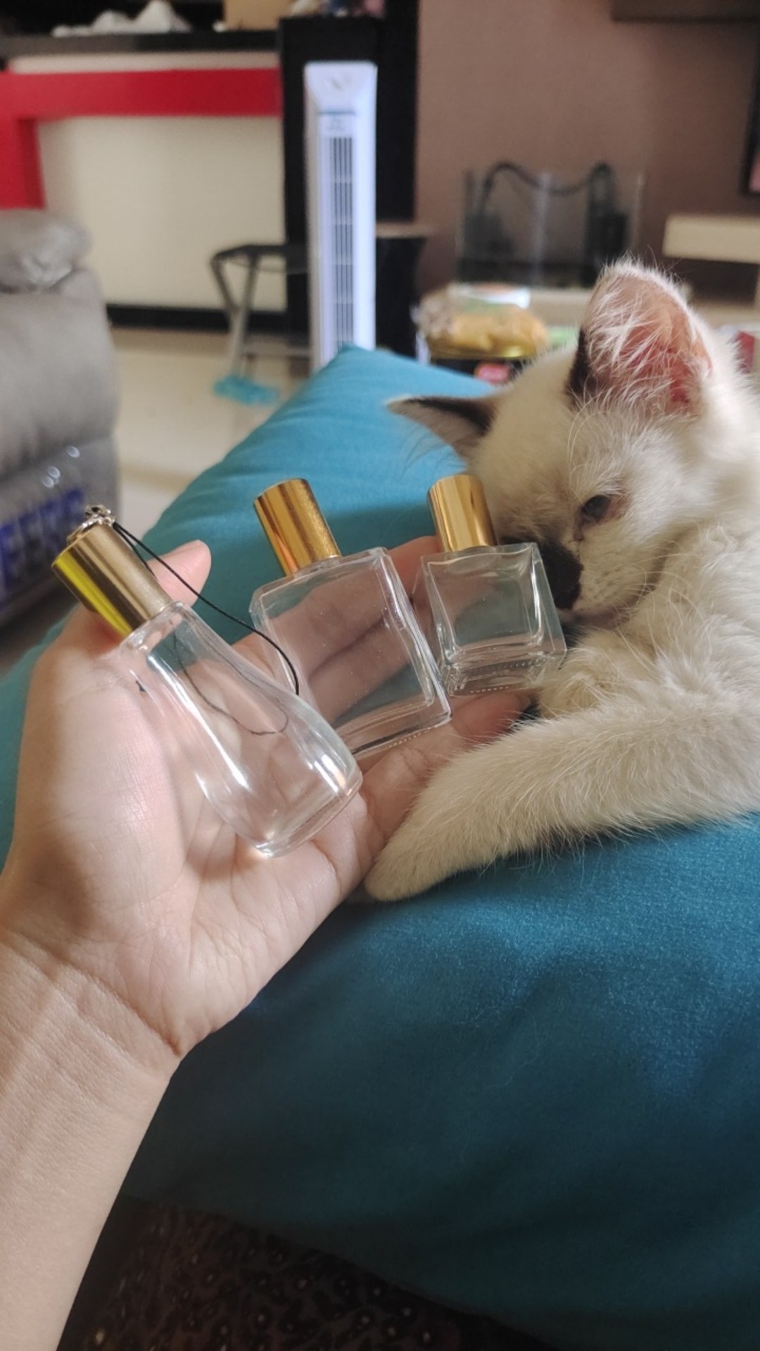 Botol Rollon Oval Kaca Clear Dan Doff Kemasan Botol Kaca Perfume Isi Ulang Minyak Wangi Aromatherapy