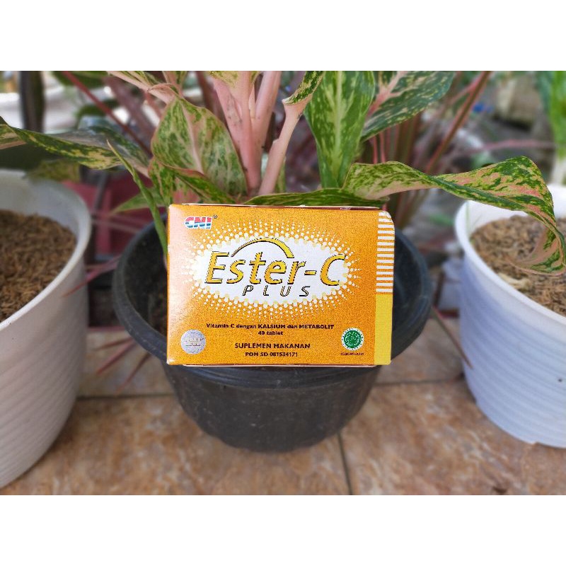 ESTER-C PLUS