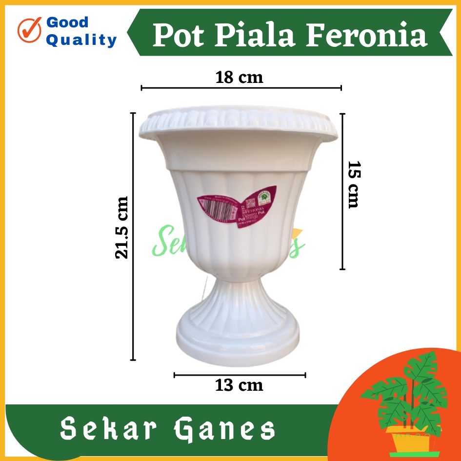 Pot Piala Green Leaf Feronia 6152 Putih Pot Piala Tinggi Putih Plastik hitam pendek 50 - Pot bunga tanaman piala feronia putih 18cm - PIALA MINI 6152