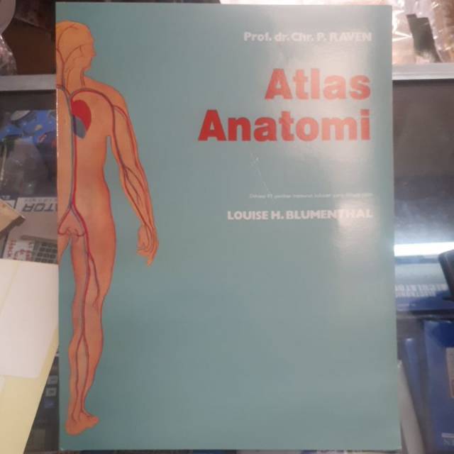 

Atlas anatomi 48 halaman