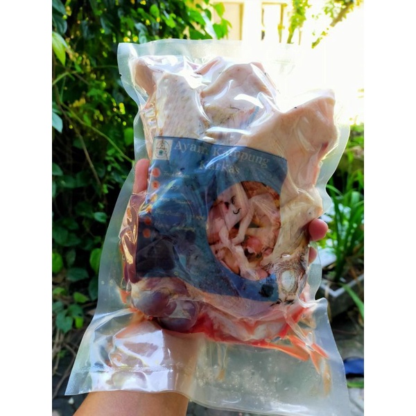 

ayam kampung karakas/mentah dan ungkeb