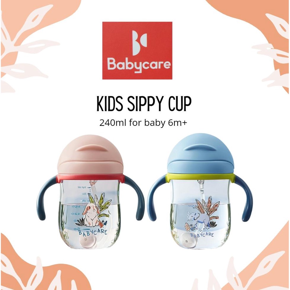 Babycare Kids Sippy Cup for 6m+ (240ml) A012-240A