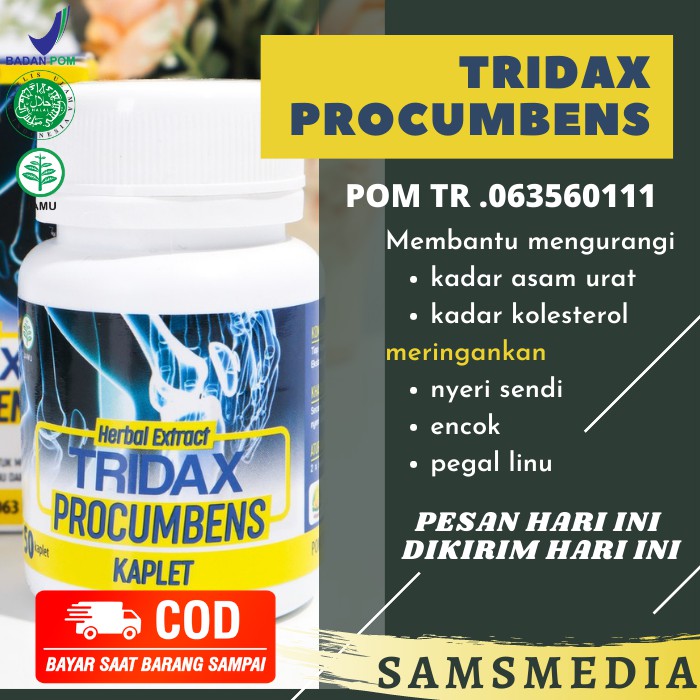 (BISA COD) Tridax Procumbens Kaplet Original | Obat Nyeri Sendi Rematik Asam Urat Ampuh