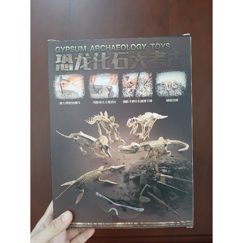 PROMO mainan dig dinosaur fossil toy