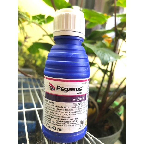 Pegasus 500sc 80ml insektisida sygenta