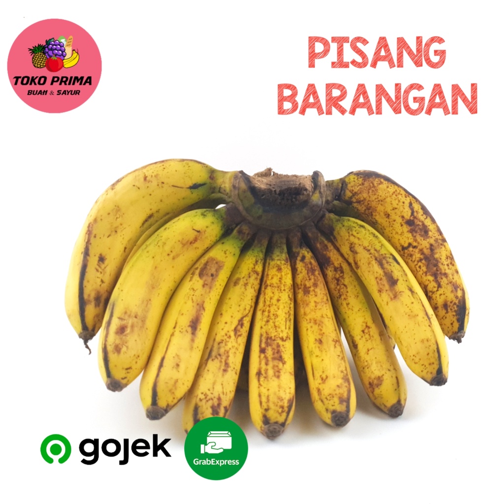 

Buah Pisang Barangan Medan PER sisir