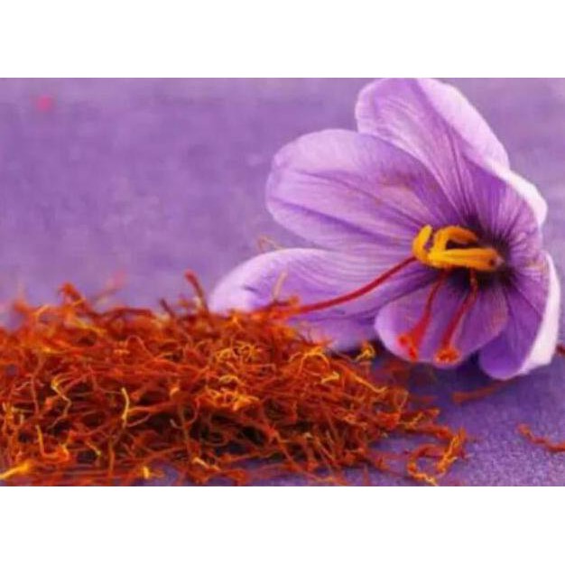 Fix Bibit Tanaman Bunga Saffron Zafaron Bunga Termahal Didunia | Shopee