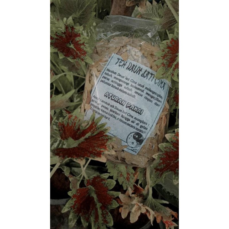 

Teh Daun Jati Cina