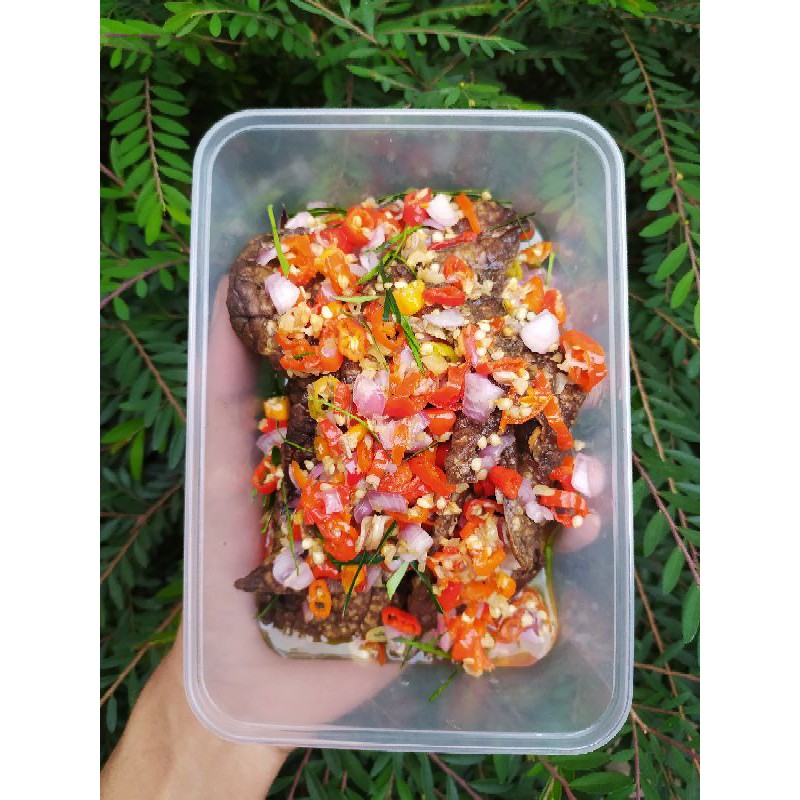 

PARU SAMBEL MATAH (BISA VAKUM)
