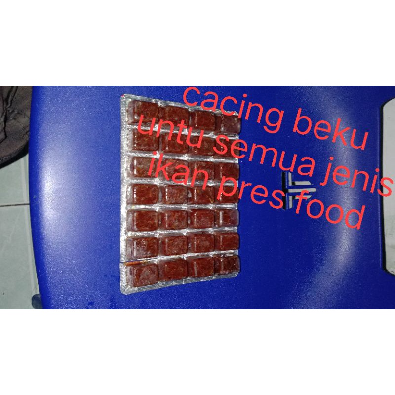 cacing beku