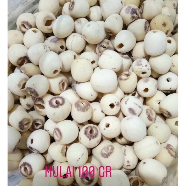 

Biji teratai putih lotus seed lianzhi lienci 100 gram