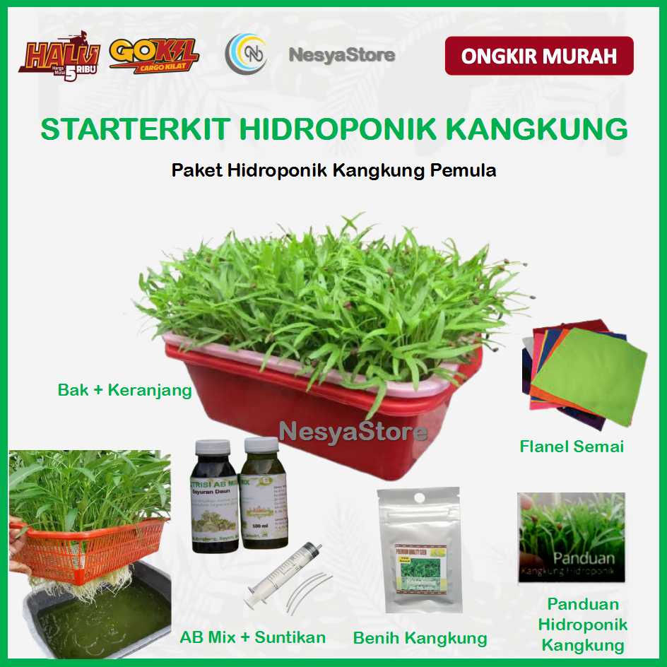 Starterkit Kangkung Hidroponik Kit Kangkung Hidroponik Paket Hidroponik Kangkung 1 Bak Lengkap