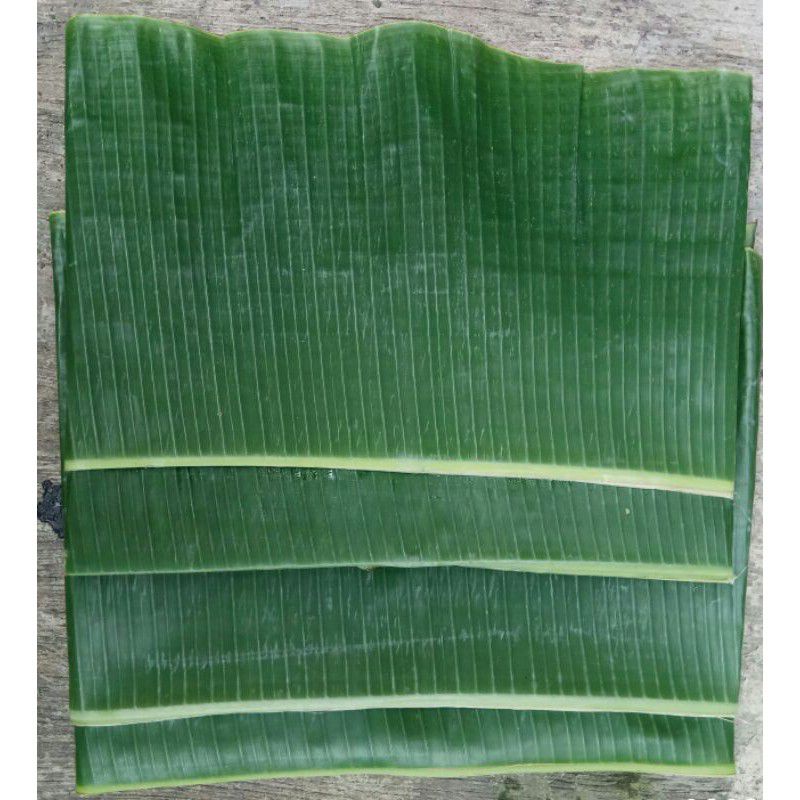 

daun pisang