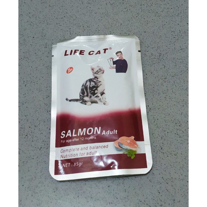 life cat adult salmon sachet