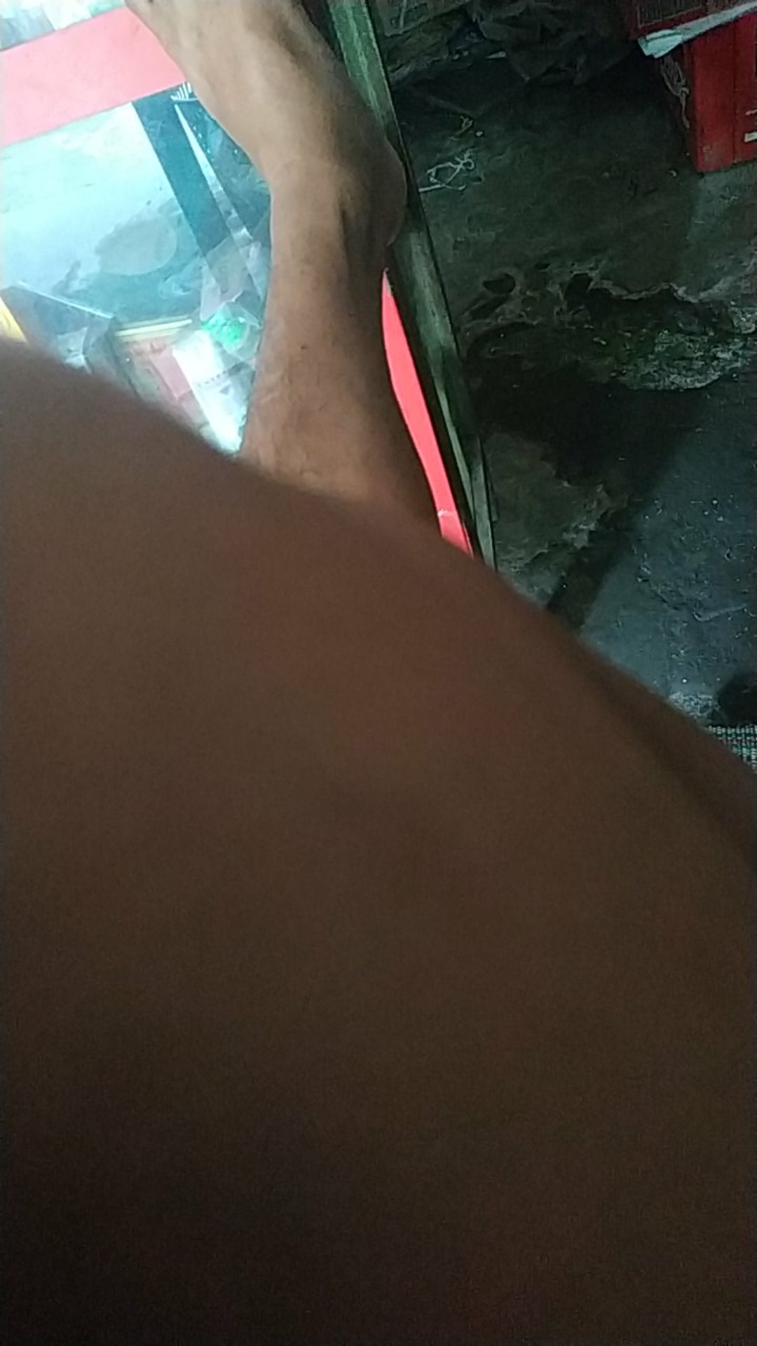 Tempat Telor Isi 6 Butir Egg Case