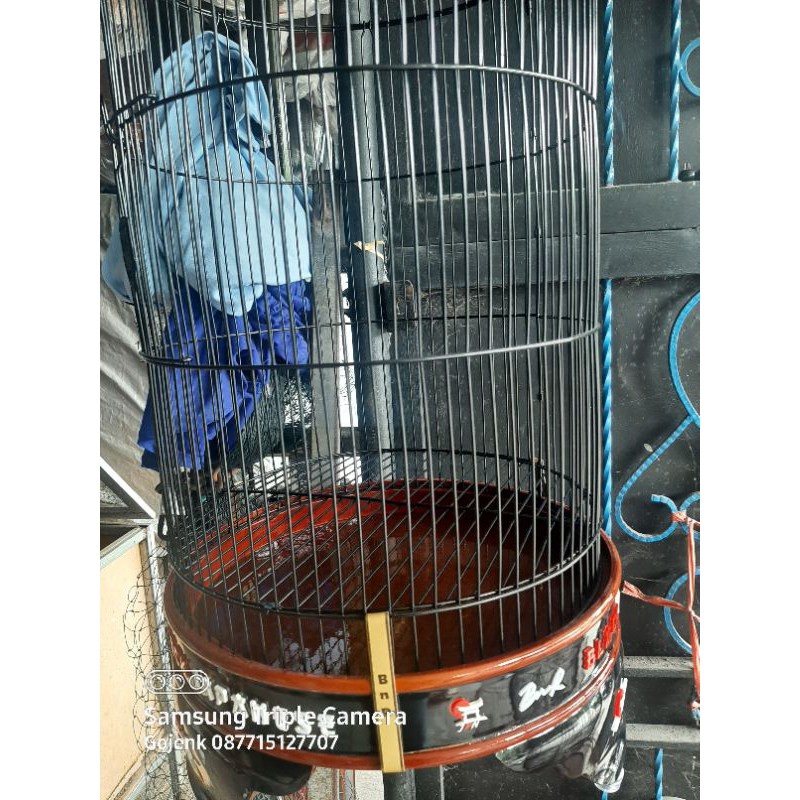 sangkar lovebird BnR 3D