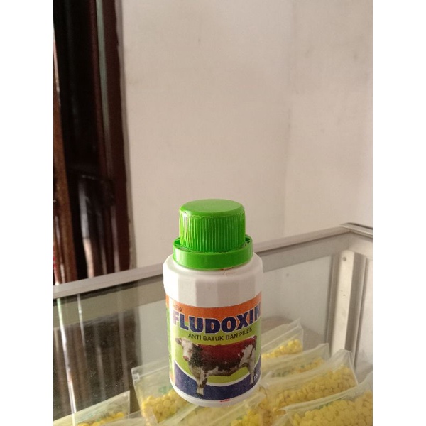 FLUDOXIN OBAT FLU KAMBING SAPI DOMBA TERNAK