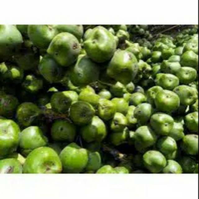 

Kolang kaling (Buah aren) muda segar 500gr