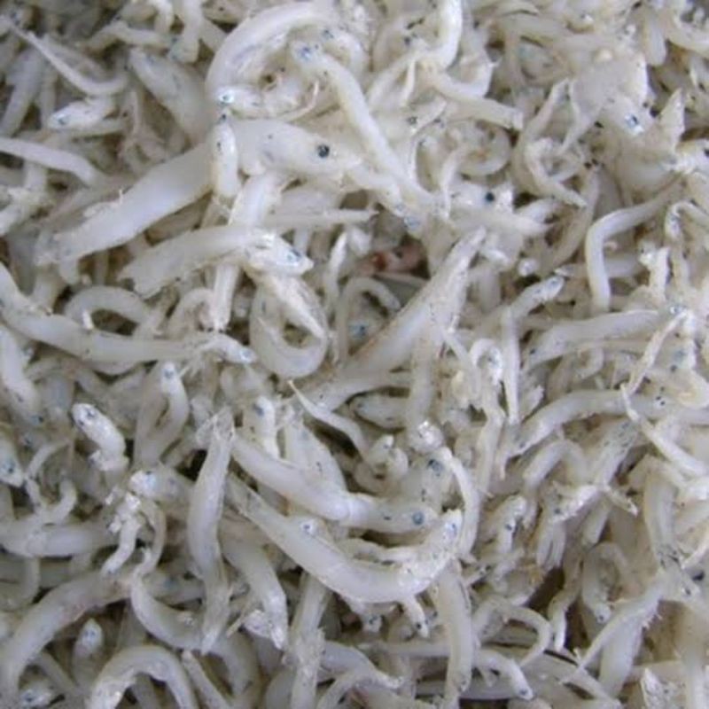 

asin teri medan 50g