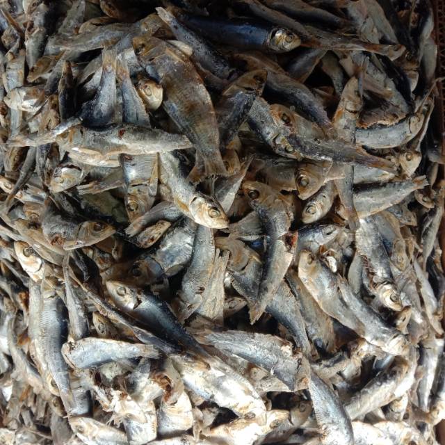 

Ikan asin lemet rebus/tembang cue (250gr)