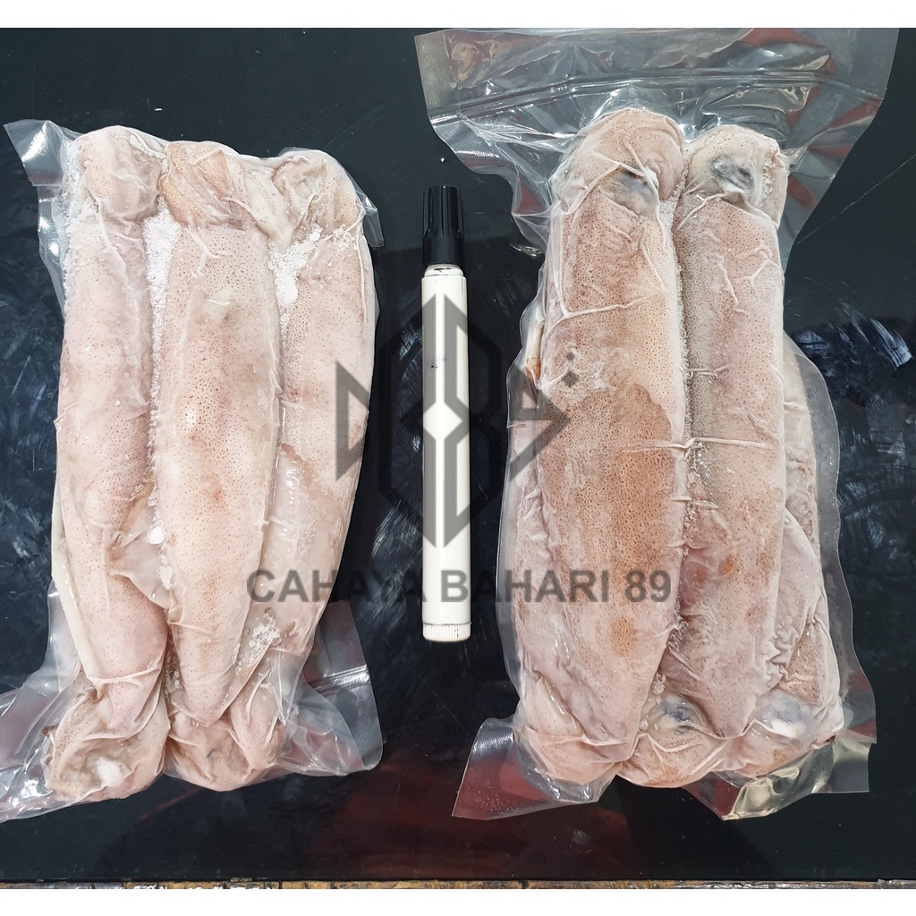 

Cumi besar Loligo Frozen 500gr
