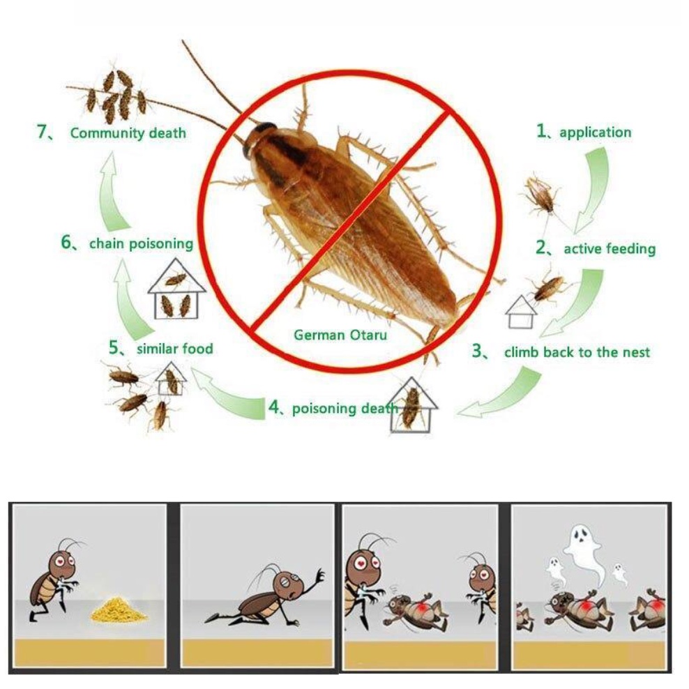 [DEASTORE] BUBUK RACUN KECOA ACUN KECOA MIEZHANGQING / PEMBASMI KECOA BUBUK / OBAT ANTI KECOA MIE ZHANG QING / RACUN BUBUK KECOA