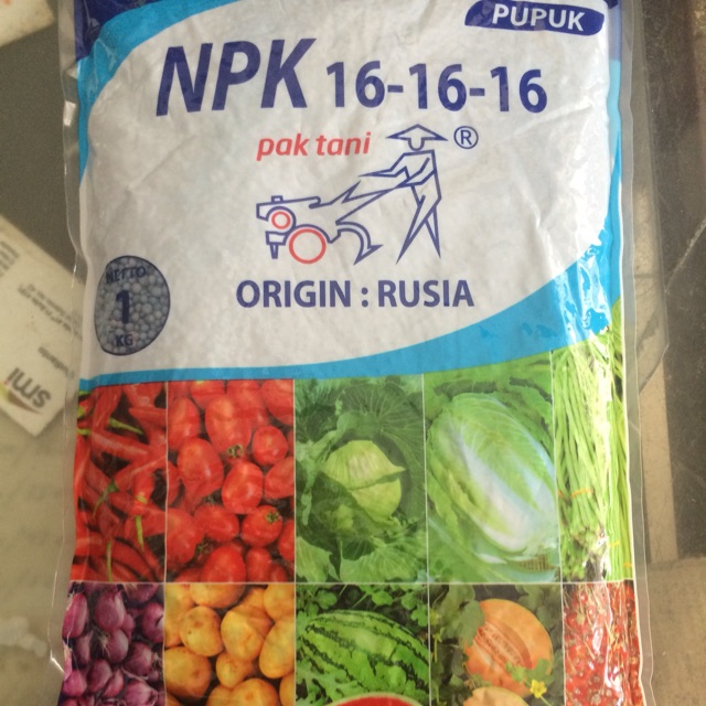 Pupuk NPK 16-16-16 Rusia