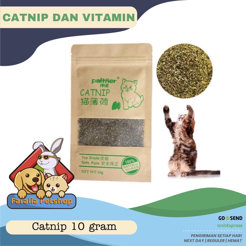 Catnip Catmint Serbuk Natural Organic Premium Quality 10g Murah Kucing 10 gram Cat Nip Mint Kitten