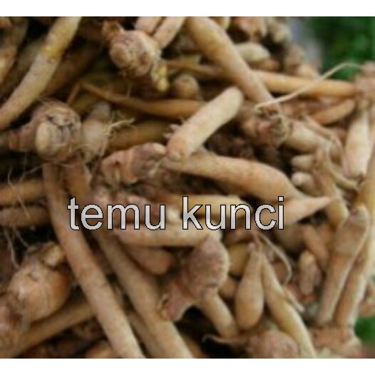 

1kg temu kunci segar